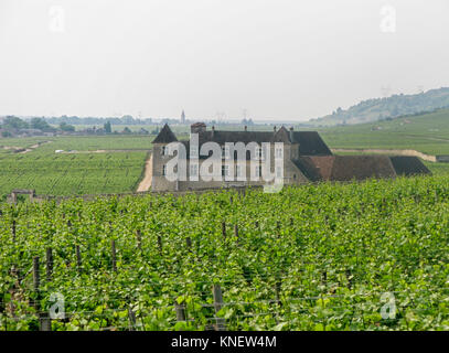 Famoso ClosVougeot in Cote d'or in Borgogna Francia con i suoi vigneti Foto Stock