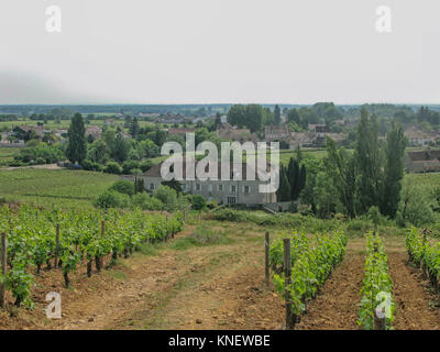 Famoso ClosVougeot in Cote d'or in Borgogna Francia con i suoi vigneti Foto Stock