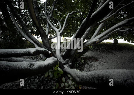 Neve in ufficio Thaxted-Met Maltempo spia di avvertimento color ambra- Essex England Regno Unito. 10 dicembre 2017 neve pesante cadde durante la notte e attraverso la mattina su p Foto Stock