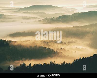 Autunno sunrise. Deep Forest in un bellissimo paesaggio collinare entro il tempo di inversione. Treetops è aumentato da sfondo velato. Effetto vividi. Foto Stock