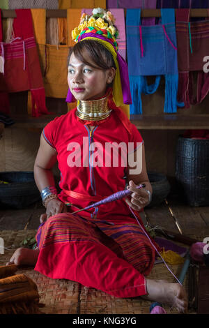 Padaung donna, Lago Inle, Nyaung Shwe, Myanmar, Asia Foto Stock