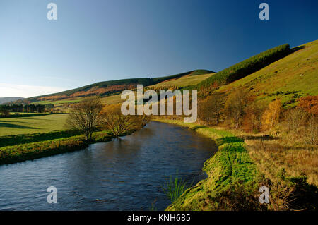 Fiume Tweed vicino a Selkirk, Scozia Foto Stock