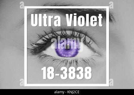 Ultra Violet eye Foto Stock