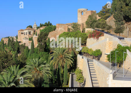 Vista panoramica del XI secolo in stile moresco Alcazaba (Cittadella) e Cattedrale di Malaga, Spagna Foto Stock