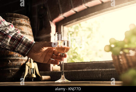 Coltivatore esperto ed enologo per degustare un bicchiere di delizioso vino bianco in cantina e vigneto lussureggianti sullo sfondo Foto Stock