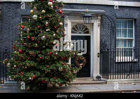Londra, Regno Unito. 8 dicembre, 2017. Questo anno di Downing Street albero di Natale è stato fornito da Gower fresco di alberi di Natale dal Galles, che ha vinto il British Foto Stock