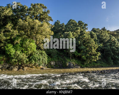 Whakapapa fiume alla confluenza con il fiume Whanganui, Kakahi, Distict Ruapehu, Nuova Zelanda Foto Stock