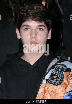 Hollywood, Stati Uniti d'America. Undicesimo Dec, 2017. Mario Selman assiste la premiere del Columbia Pictures' 'Jumanji: Welcome To The Jungle' a TCL Teatro Cinese su dicembre 11, 2017 in Hollywood, la California. Credito: Barry re/Alamy Live News Foto Stock