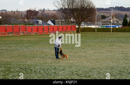 Dundee, Regno Unito. Dodicesimo Dicembre, 2017. Regno Unito Meteo: mentre la maggior parte della Gran Bretagna ha avuto tempeste di neve, Tayside ha freddo gelido meteo con sole nebuloso con temperature sotto zero (-1°C). Dog walkers sfidando il freddo tenendo i loro cani per una passeggiata in un parco locale di Dundee. Credits: Dundee fotografico/Alamy Live News Foto Stock