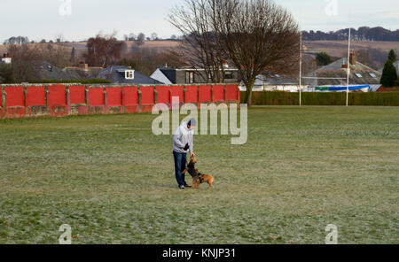 Dundee, Regno Unito. Dodicesimo Dicembre, 2017. Regno Unito Meteo: mentre la maggior parte della Gran Bretagna ha avuto tempeste di neve, Tayside ha freddo gelido meteo con sole nebuloso con temperature sotto zero (-1°C). Dog walkers sfidando il freddo tenendo i loro cani per una passeggiata in un parco locale di Dundee. Credits: Dundee fotografico/Alamy Live News Foto Stock