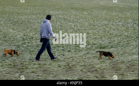 Dundee, Regno Unito. Dodicesimo Dicembre, 2017. Regno Unito Meteo: mentre la maggior parte della Gran Bretagna ha avuto tempeste di neve, Tayside ha freddo gelido meteo con sole nebuloso con temperature sotto zero (-1°C). Dog walkers sfidando il freddo tenendo i loro cani per una passeggiata in un parco locale di Dundee. Credits: Dundee fotografico/Alamy Live News Foto Stock