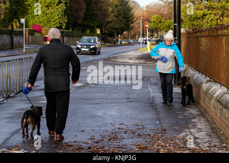 Dundee, Regno Unito. Dodicesimo Dicembre, 2017. Regno Unito Meteo: mentre la maggior parte della Gran Bretagna ha avuto tempeste di neve, Tayside ha freddo gelido meteo con sole nebuloso con temperature sotto zero (-1°C). Dog walkers sfidando il freddo tenendo i loro cani per una passeggiata lungo la strada MacAlpine di Dundee. Credits: Dundee fotografico/Alamy Live News Foto Stock