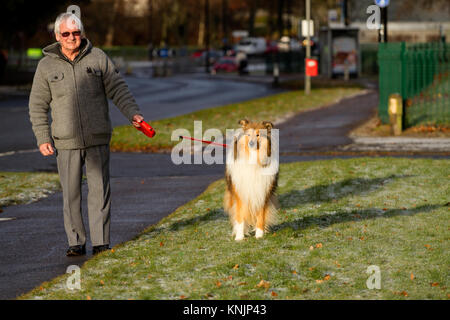 Dundee, Regno Unito. Dodicesimo Dicembre, 2017. Regno Unito Meteo: mentre la maggior parte della Gran Bretagna ha avuto tempeste di neve, Tayside ha freddo gelido meteo con sole nebuloso con temperature sotto zero (-1°C). Dog walkers sfidando il freddo tenendo i loro cani per una passeggiata lungo la strada MacAlpine di Dundee. Credits: Dundee fotografico/Alamy Live News Foto Stock