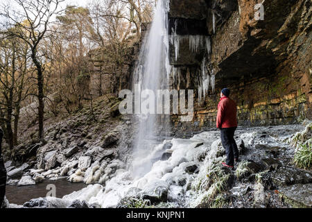 Forza Ashgill, Garrigill, Cumbria Regno Unito. Martedì 12 dicembre 2017. Regno Unito Meteo. Con le temperature durante la notte e scende a -13 gradi C in alcune aree del Regno Unito, spettacolare ghiaccioli formata sul ghiaccio rocce rivestite di forza Ashgill vicino Garigill in Cumbria. Credito: David Forster/Alamy Live News Foto Stock