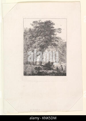 Forest Landscape, stampa del pittore tedesco, incisore, scenografo e architetto Domenico Quaglio il giovane (1787-1837), data sconosciuta Foto Stock