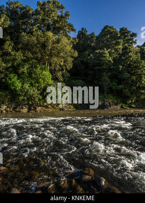 Whakapapa fiume alla confluenza con il fiume Whanganui, Kakahi, Distict Ruapehu, Nuova Zelanda Foto Stock