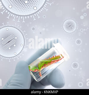Impianto esemplare in mani guantate su sfondo neutro con particelle virali, spazio di testo Foto Stock