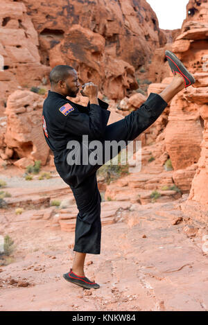 African American uomo a praticare arti marziali nel deserto del Nevada. Foto Stock