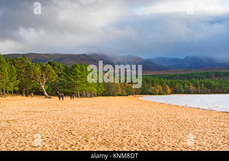 La gente camminare sulla spiaggia sabbiosa a Loch Morlich,Glenmore, Highlands scozzesi, blustery luminosa giornata autunnale, il misty Cairngorm altopiano sorge dietro. Foto Stock