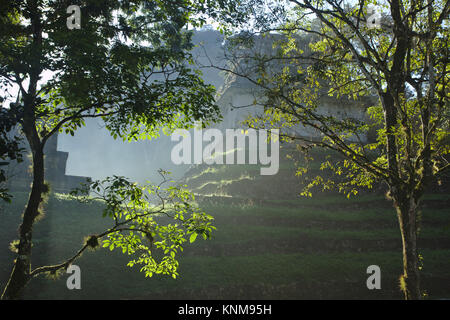 Palenque, templi del gruppo trasversale nella luce del mattino, Chiapas, Messico Foto Stock