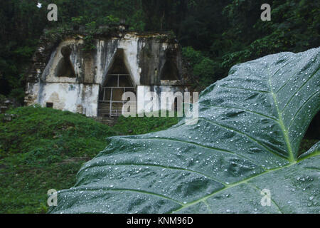 Palenque, Tempio della Croce Foliated, Chiapas, Messico Foto Stock