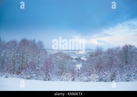 Incantevole paesaggio invernale neve Trondheim Foto Stock