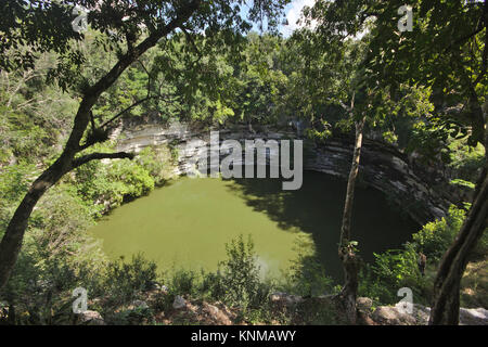 Chichén Itzá, Sacro Cenote, Messico Foto Stock