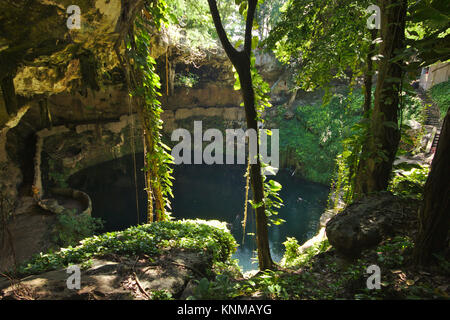 Cenote Zaki in Valladolid, Yucatan, Messico Foto Stock