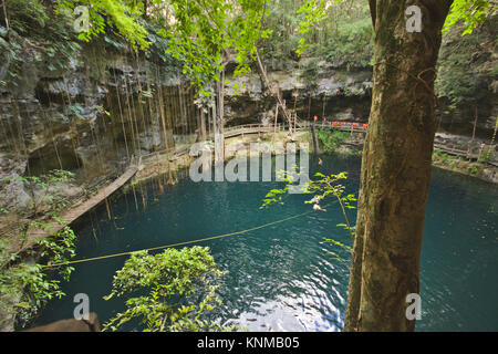 Cenote X'Canché, Ek'Balam, vicino a Valladolid, Yucatan, Messico Foto Stock