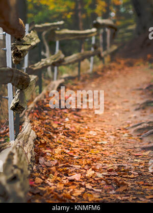 Sentiero coperto con foglie di autunno/ autunno meteo lungo la recinzione in legno in Hamilton, Ontario, Canada area Foto Stock