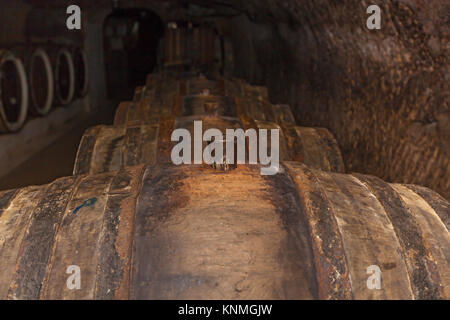 Quercia sughero vicino ups, una vecchia cantina con botti di rovere,barili di vino in vecchie cantine Foto Stock