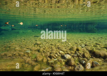 Spagna fiume subacquei con ciottoli sul letto del fiume, la Muga vicino Albanya, Girona, Alt Emporda Catalogna Foto Stock