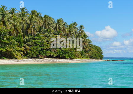 Isola tropicale mare con vegetazione lussureggiante, Bastimentos National Marine Park, Bocas del Toro, Panama America Centrale Foto Stock