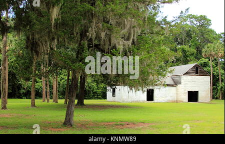 Kingsley Plantation a Jacksonville, in Florida. Alberi e slave rovine di cabina. Foto Stock