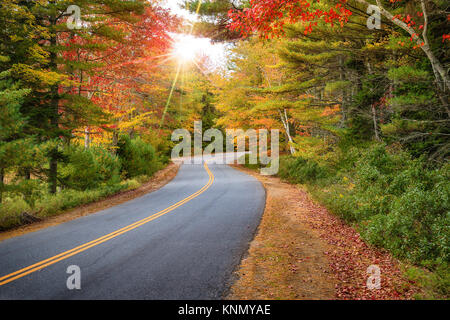 Avvolgimento curve su strada attraverso la splendida fogliame di autunno nel New England. Raggi di sole spiata attraverso gli alberi colorati. Foto Stock