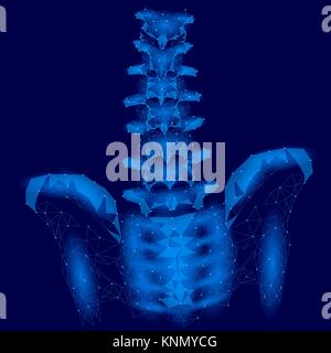 Colonna vertebrale umana hip radiculitis lombare dolore bassa poli. Geometrica delle particelle poligonali triangolo linea punto la medicina del futuro la tecnologia blue illustrazione vettoriale Illustrazione Vettoriale