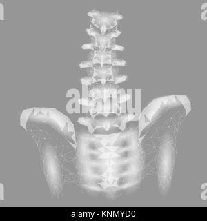 Colonna vertebrale umana hip radiculitis lombare dolore bassa poli. Geometrica delle particelle poligonali triangolo linea punto la medicina del futuro technology astratto bianco grigio illustrazione vettoriale Illustrazione Vettoriale