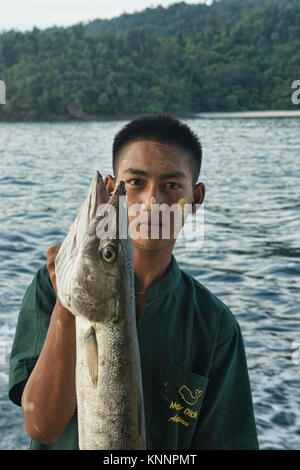 Barracuda fresco nell'arcipelago Mergui, Myanmar Foto Stock