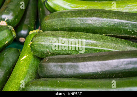 Cetriolo verde Gruppo di mercato Basket vendita verdura fresca Food Texture Closeup Foto Stock