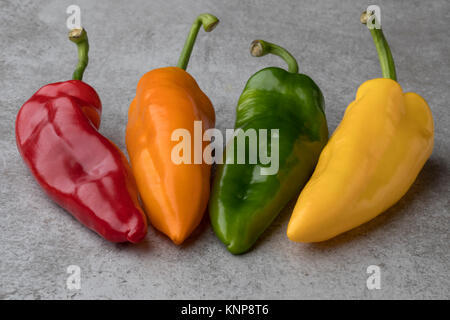 Nuove varietà di rosso, giallo, arancio e verde dolci peperoni appuntita Foto Stock