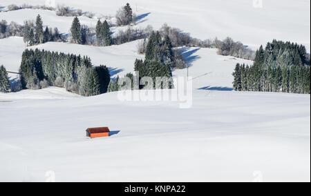 Fienile arancione edificio in bianco della neve paesaggio. Vista aerea del paesaggio rurale su terreni innevati giorno d'inverno. Weitnau, Allgau, Baviera, Germania. Foto Stock