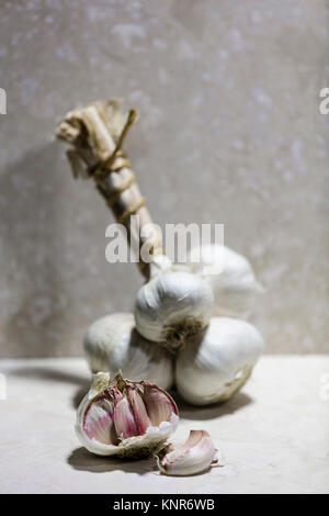 Grappe di aglio con un bulbo di aglio e chiodi di garofano di aglio su una cucina superficie di lavoro Foto Stock
