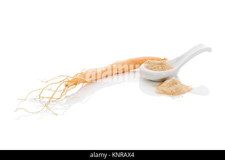 Ginseng coreano radice e la polvere nel cucchiaino di colore bianco. Isolato su sfondo bianco. Foto Stock