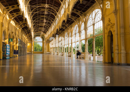 Colonade in Marienbad Foto Stock