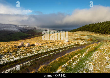 L'estremità orientale della Kinder altopiano Scout su Edale, da una pista melmosa sul nord ovest della cresta di Win Hill, Peak District, Derbyshire, England, Regno Unito Foto Stock