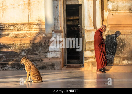 Monaci in attesa di cibo in Myin Ka Bar, Bagan, Myanmar, Asia Foto Stock