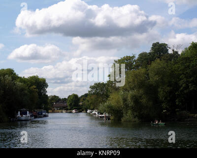 Barche ormeggiate vicino a Shepperton serratura dalla banca del fiume Tamigi a Weybridge, Surrey, England, Regno Unito Foto Stock