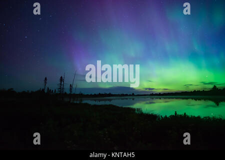 Luci del nord in background su un laghetto in Canada Foto Stock