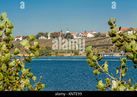 Tumskie collina che si affaccia sul fiume Vistola nel Plock, Polonia Foto Stock