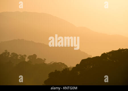 Foresta pluviale atlantica montagne a Serra de Paranapiacaba, SE IL BRASILE Foto Stock